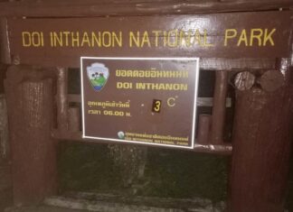 températures Doi Inthanon