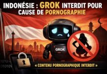 Interdiction Grok indonésie
