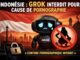 Interdiction Grok indonésie