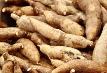 THAÏLANDE – ÉCONOMIE : Le ministère du Commerce suspend neuf importateurs de chips de tapioca Manioc Thaïlande