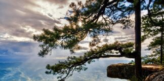 parc national Phu Kradueng