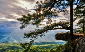 PHU KRADUENG – TOURISME : Le téléphérique sera construit d’ici fin 2027 parc national Phu Kradueng