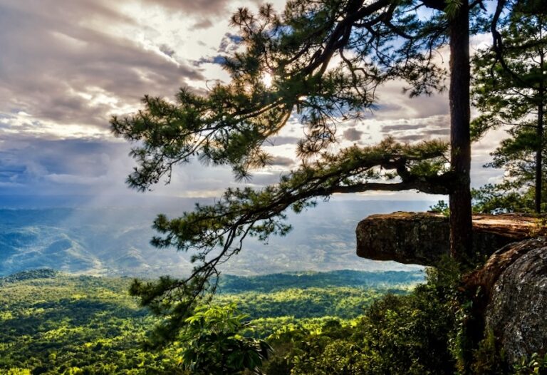 parc national Phu Kradueng