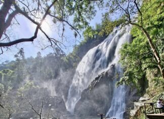 THAÏLANDE – TOURISME : Succès des parcs nationaux pour le Nouvel an