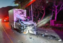 THAÏLANDE – FAUNE : Un éléphant percuté par un pick-up à Khao Yai Pick-up accidenté par un éléphant