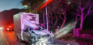 Pick-up accidenté par un éléphant