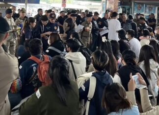 Thaïlandais rappatriés