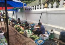 marché laotien