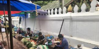 marché laotien