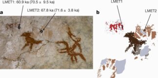 INDONÉSIE – HISTOIRE : Dans l’archipel, les premières peintures de l’humanité