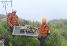 secours Indonésie accident avion ATR
