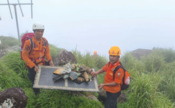 secours Indonésie accident avion ATR