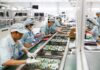 VIETNAM EXPRESS – ACTUALITÉS : Que retenir de l’actualité vietnamienne du 15 au 21 juin 2026 ? Viettel usine