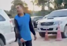 THAÏLANDE – SOCIÉTÉ : Un cobra royal découvert dans le moteur d’une voiture à Chaiya