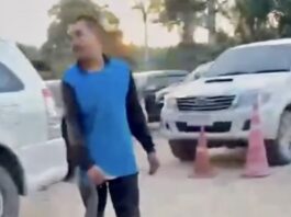 THAÏLANDE – SOCIÉTÉ : Un cobra royal découvert dans le moteur d’une voiture à Chaiya