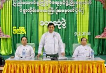 USDP Birmanie