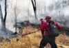 THAÏLANDE – ENVIRONNEMENT : L’incendie de forêt à Sakaerat a été maîtrisé incendie forêt