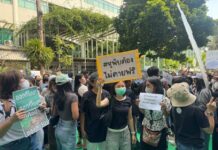 manifestants protection animale