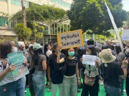 THAÏLANDE – SOCIÉTÉ : Mobilisation à Bangkok après la mort d’un éléphant manifestants protection animale