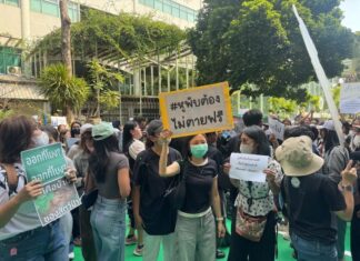 THAÏLANDE – SOCIÉTÉ : Mobilisation à Bangkok après la mort d’un éléphant manifestants protection animale