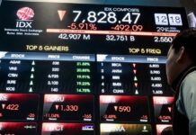 GAVROCHE ÉCO – ÉDITORIAL : L’Indonésie, le géant où il ne faut pas investir stock Indonésie