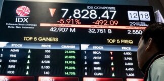 GAVROCHE ÉCO – ÉDITORIAL : L’Indonésie, le géant où il ne faut pas investir stock Indonésie