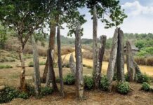 LAOS – TOURISME : Les menhirs de Hintang classés au patrimoine national menhirs de Hintang Laos