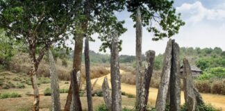 LAOS – TOURISME : Les menhirs de Hintang classés au patrimoine national menhirs de Hintang Laos