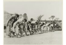 ASIE – FRANCE : Les 19 et 20 mars, l’occupation japonaise de 1942-1945 décryptée à Paris