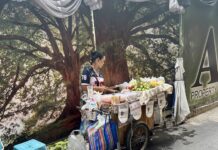 commerçants ambulants