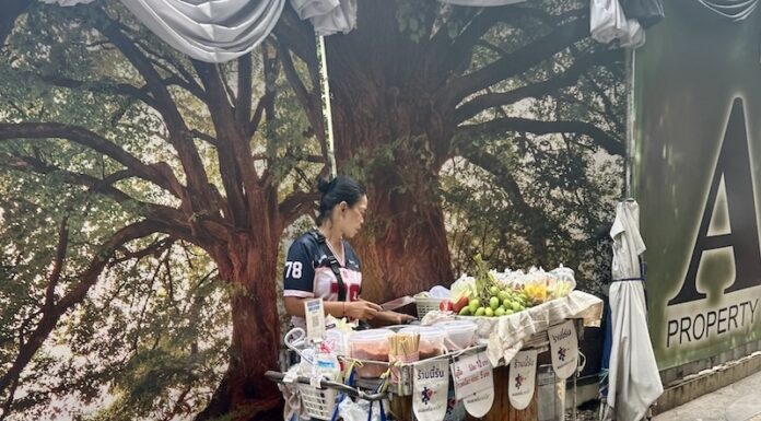 THAÏLANDE – ÉCONOMIE : Les ménages sous pression, l’épargne à un plus bas historique commerçants ambulants