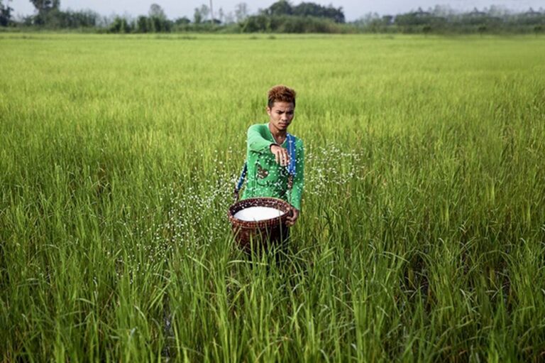 THAÏLANDE – ACTUALITÉS : Les sept informations à retenir du mardi 20 octobre 2026