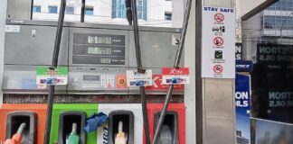 PHILIPPINES – ÉNERGIE : Manille décrète l’état d’urgence énergétique pour un an