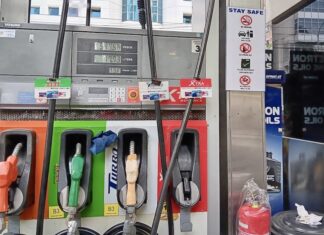 PHILIPPINES – ÉNERGIE : Manille décrète l’état d’urgence énergétique pour un an