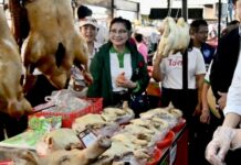 THAÏLANDE – ÉCONOMIE : « Homme malade de l’Asie » ? Bangkok balaie les critiques marché Thaïlande