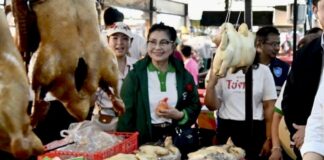 THAÏLANDE – ÉCONOMIE : « Homme malade de l’Asie » ? Bangkok balaie les critiques marché Thaïlande