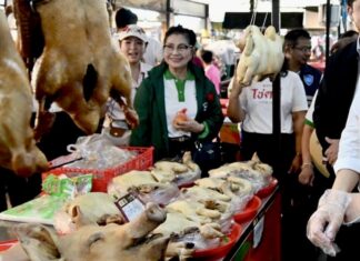 THAÏLANDE – ÉCONOMIE : « Homme malade de l’Asie » ? Bangkok balaie les critiques marché Thaïlande