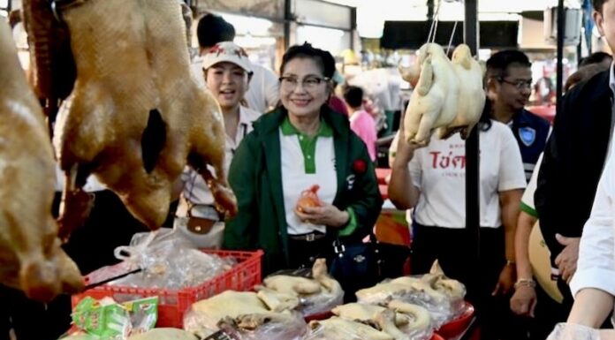 THAÏLANDE – ÉCONOMIE : « Homme malade de l’Asie » ? Bangkok balaie les critiques marché Thaïlande