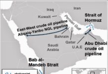 ASIE – GÉOPOLITIQUE : Voici ce que risque l’Asie si le détroit d’Ormuz reste fermé carte Moyen-Orient