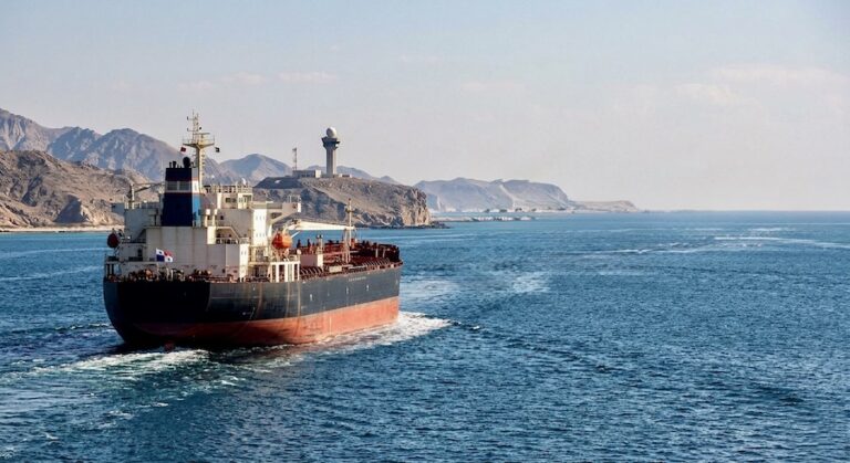 Ormuz navires