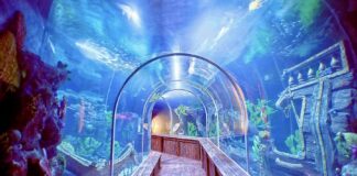 LAOS – TOURISME : Vientiane rêve de son premier aquarium
