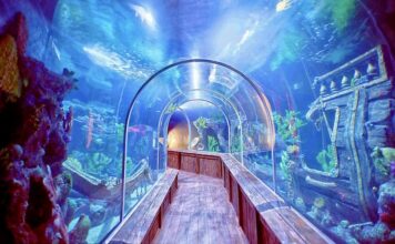 LAOS – TOURISME : Vientiane rêve de son premier aquarium