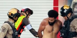 THAÏLANDE – FRANCE : Est ce « la nouvelle France » qui a agressé des thaïlandais à Phuket ?