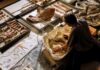 THAÏLANDE – PALÉONTOLOGIE : Découverte du plus grand dinosaure jamais identifié dans le pays