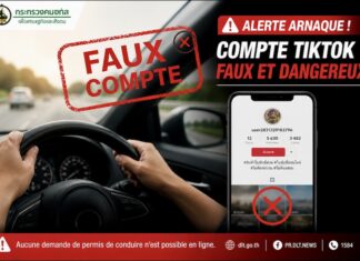 Faux compte Tiktok permis de conduire