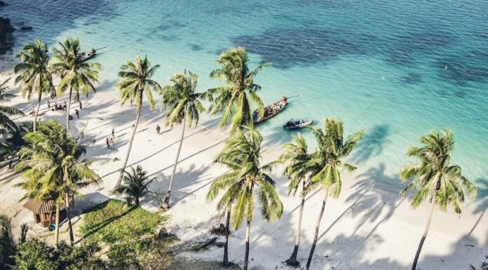 Koh Samui - Club Med 2028