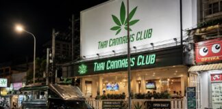 THAÏLANDE – SOCIÉTÉ : Quatre ans après sa dépénalisation, le cannabis à la croisée des chemins