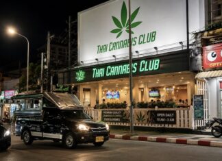 THAÏLANDE – SOCIÉTÉ : Quatre ans après sa dépénalisation, le cannabis à la croisée des chemins