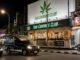 THAÏLANDE – SOCIÉTÉ : Quatre ans après sa dépénalisation, le cannabis à la croisée des chemins