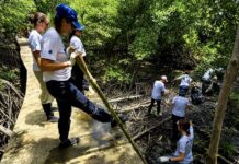 THAÏLANDE – FRANCE : Bangkok Accueil mobilisé pour nettoyer les mangroves